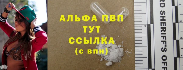 spice Богородск