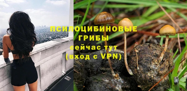 крисы Богданович