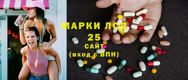spice Богородск
