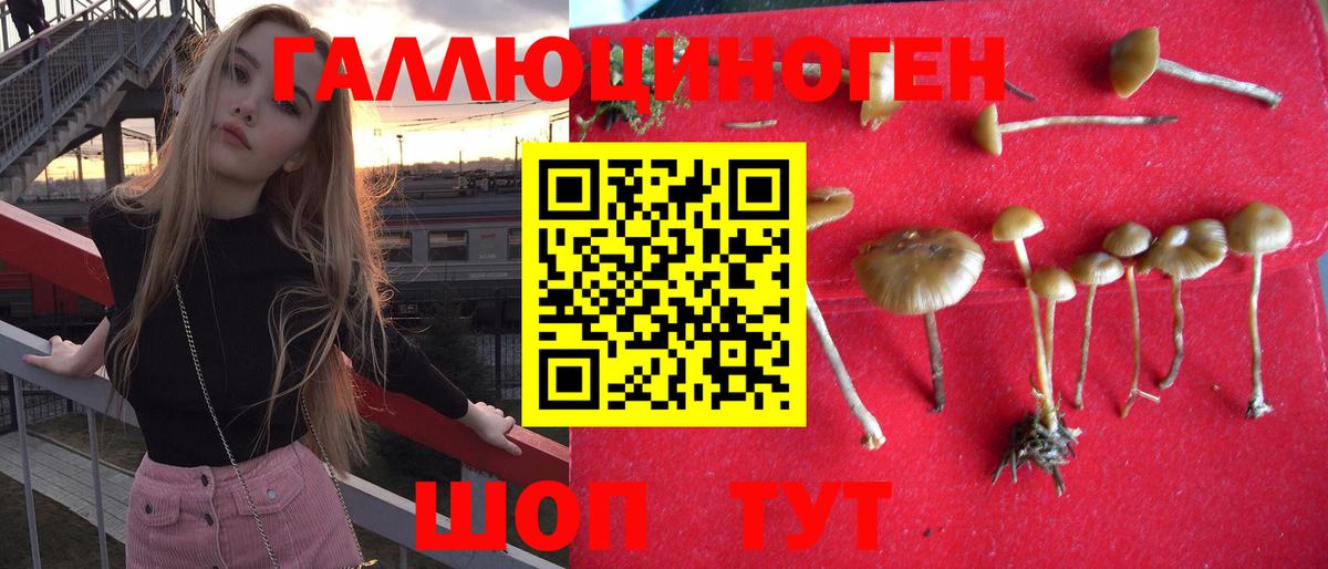 Галлюциногенные грибы Cubensis  где купить наркоту  Улан-Удэ  Вход с VPN 
