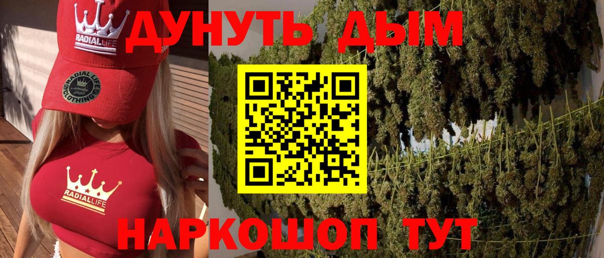Марихуана план  Вход с VPN  Улан-Удэ  Бошки марихуана SATIVA & INDICA  Бошки Шишки OG Kush  МАРИХУАНА White Widow 